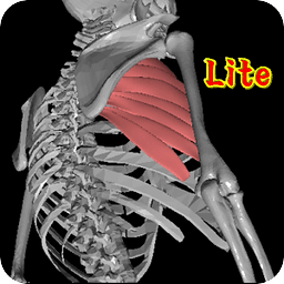 3D解剖学Lite