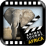 非洲动物声音