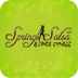 Springs Salsa & Dance Fitness