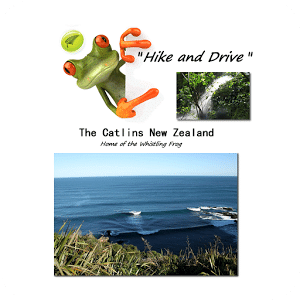 Catlins NZ Hike & Drive Guide