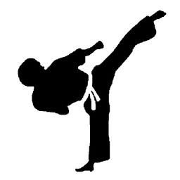 How to Do Taekwondo