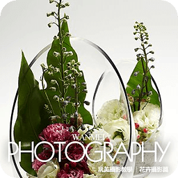 玩美摄影教学 - 花卉主题摄影(一)
