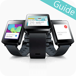 Guide for Samsung Gear L...
