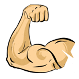 最好的训练 Best Bicep Workouts Revealed