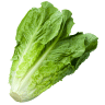 Lechuga Paralela