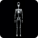 人体X光扫描仪