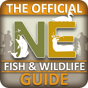 NE Fish & Wildlife Guide