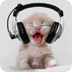 Music Kitten