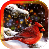 Snow Birds Songs HD LWP