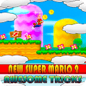 New Super Mario Bros 2 Cheats