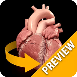 Heart 3D Atlas of Anatomy Preview