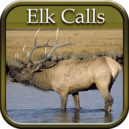 Elk Hunting Calls