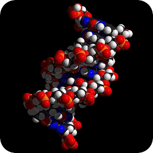 Human Gene Library