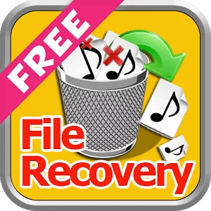 Deleted File Recovery Guide