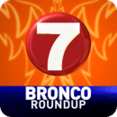 Bronco Roundup by KTVB