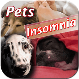 Pets Insomnia