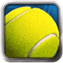 2014网球大师加强版
