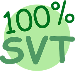 100%-SVT