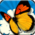 Butterfly Theme HD