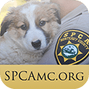 The SPCA