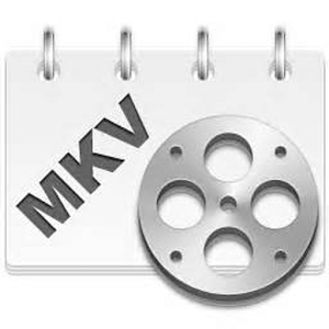 AVI MKV Player