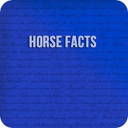 Horse Facts