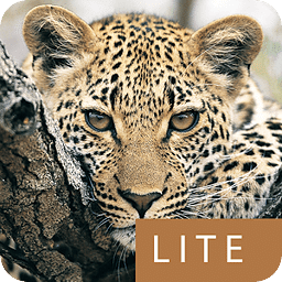 Mammals of SA Lite