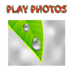 Play Photos