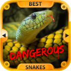 最危险的蛇