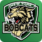 NY Bobcats