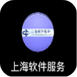 上海软件服务