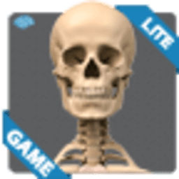 骨骼解剖游戏