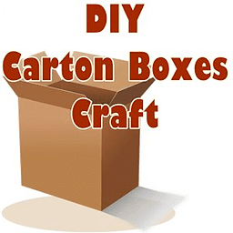 DIY Carton Boxes Craft