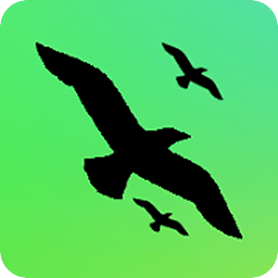 Birds Fx