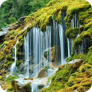 風景秀麗的瀑布壁紙