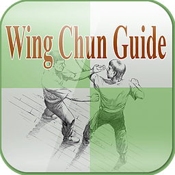 Free Wing Chun Guide