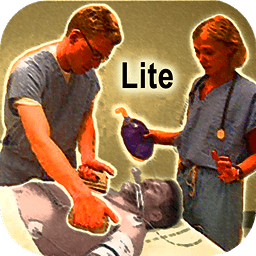 ACLS Sim 2012 Lite