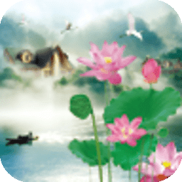 清新荷塘动态壁纸 Lotus Pond II