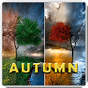 Autumn Live Wallpapers