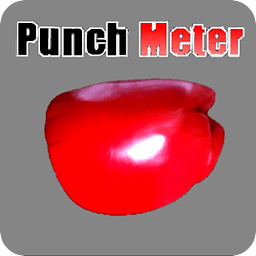 PunchMeter
