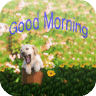 Good Morning Greetings W...