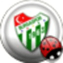 Bursaspor Amigo