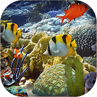 Marine Fish Aquarium HD LWP