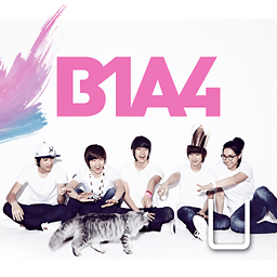 [SSKIN] B1A4_live
