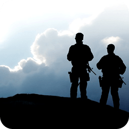 PTSD Support for Veterans