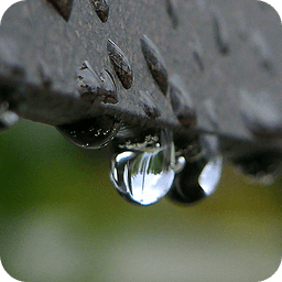 调节放松有雨