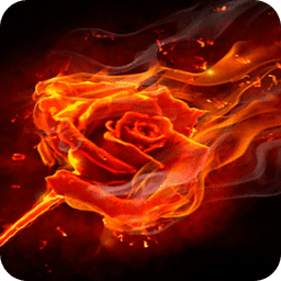 Rose Of Fires Live Wallpaper