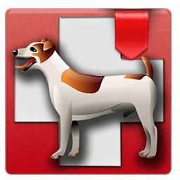 Orange County Dog First Aid