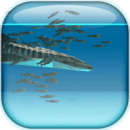 鱼鲸鲨和沙丁鱼 Live Wallpaper