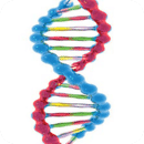 DNA 3d live wallpaper